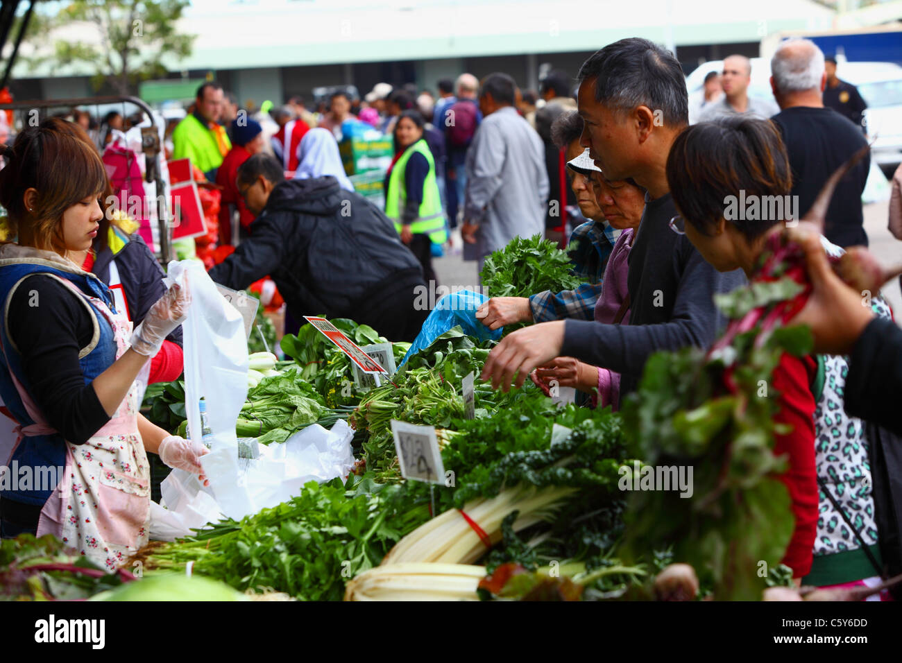 Fruit and Veg market traders at Paddy's Market in Sydney Australia Stock Photo Alamy