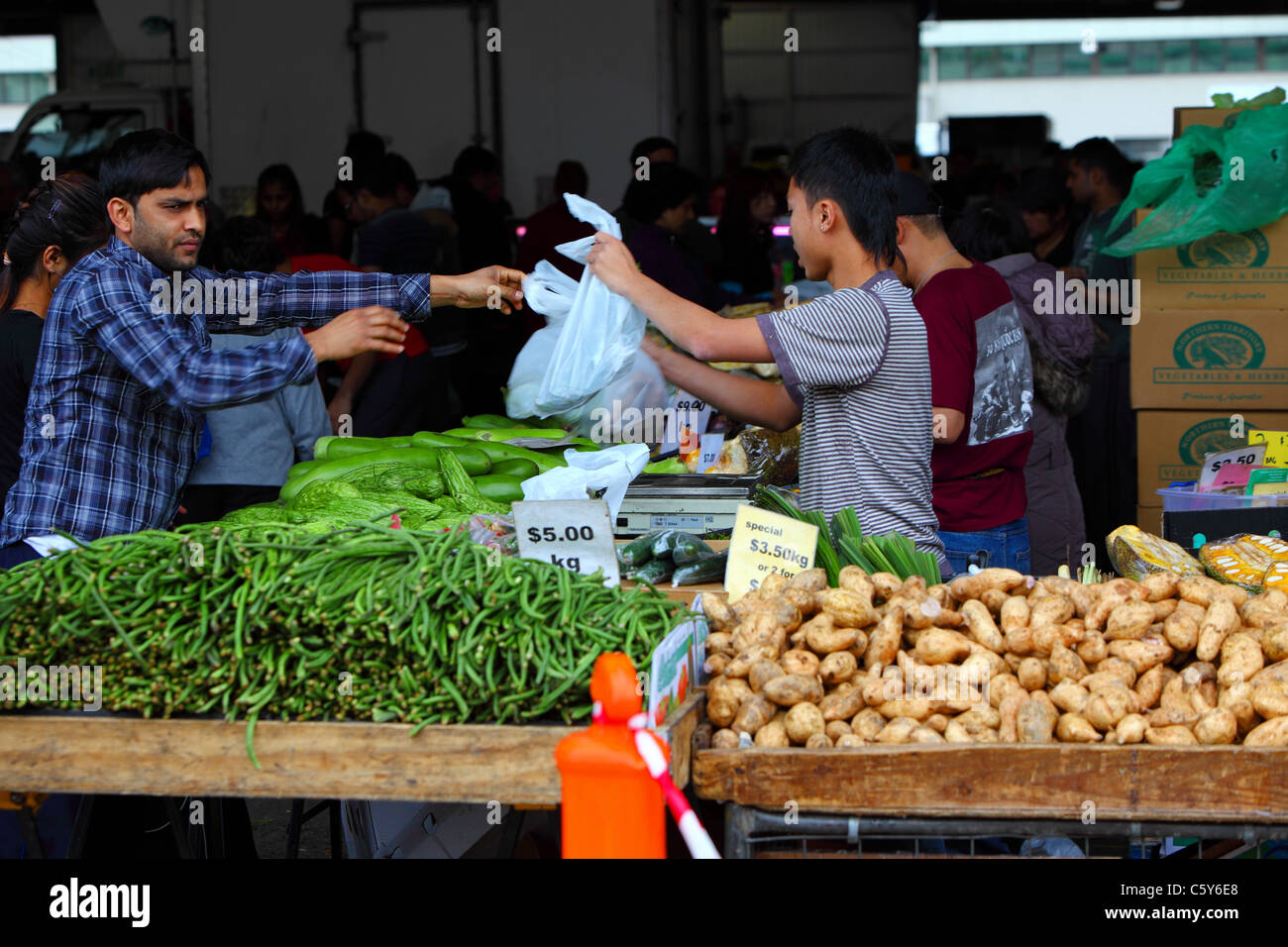 Fruit and Veg market traders at Paddy's Market in Sydney Australia Stock Photo Alamy