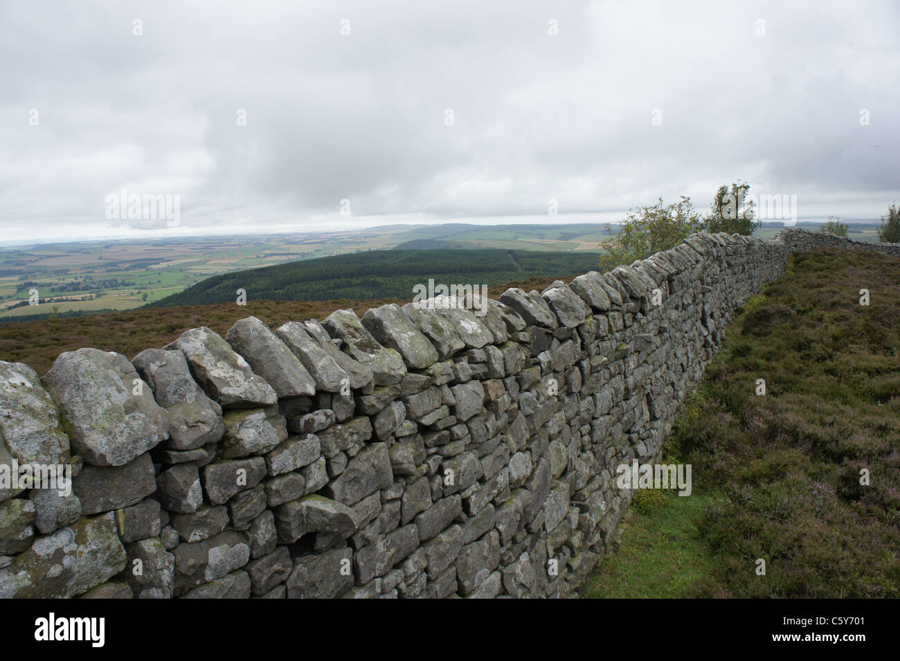 A wall on the moors in Northumberland Stock Photo