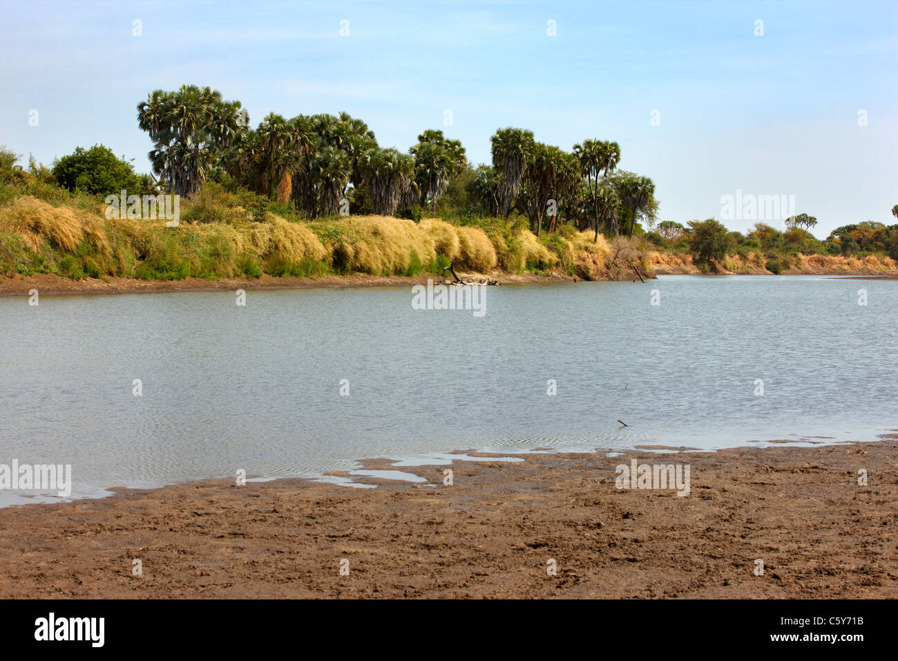Dinder (Dindir) National Park, Northern Sudan, Africa Stock Photo Alamy