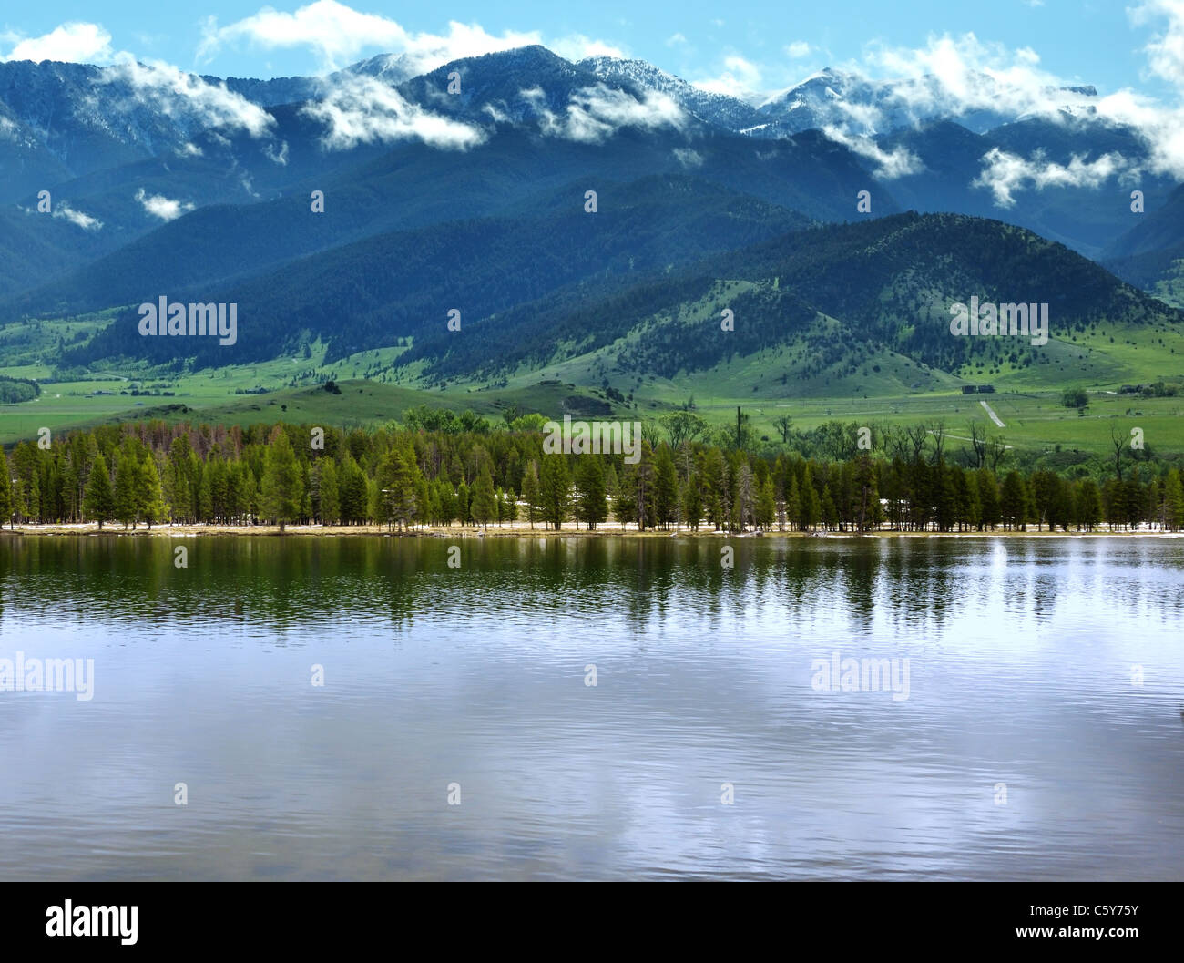 Mountain landscape with green forest and lake Stock Photo - Alamy