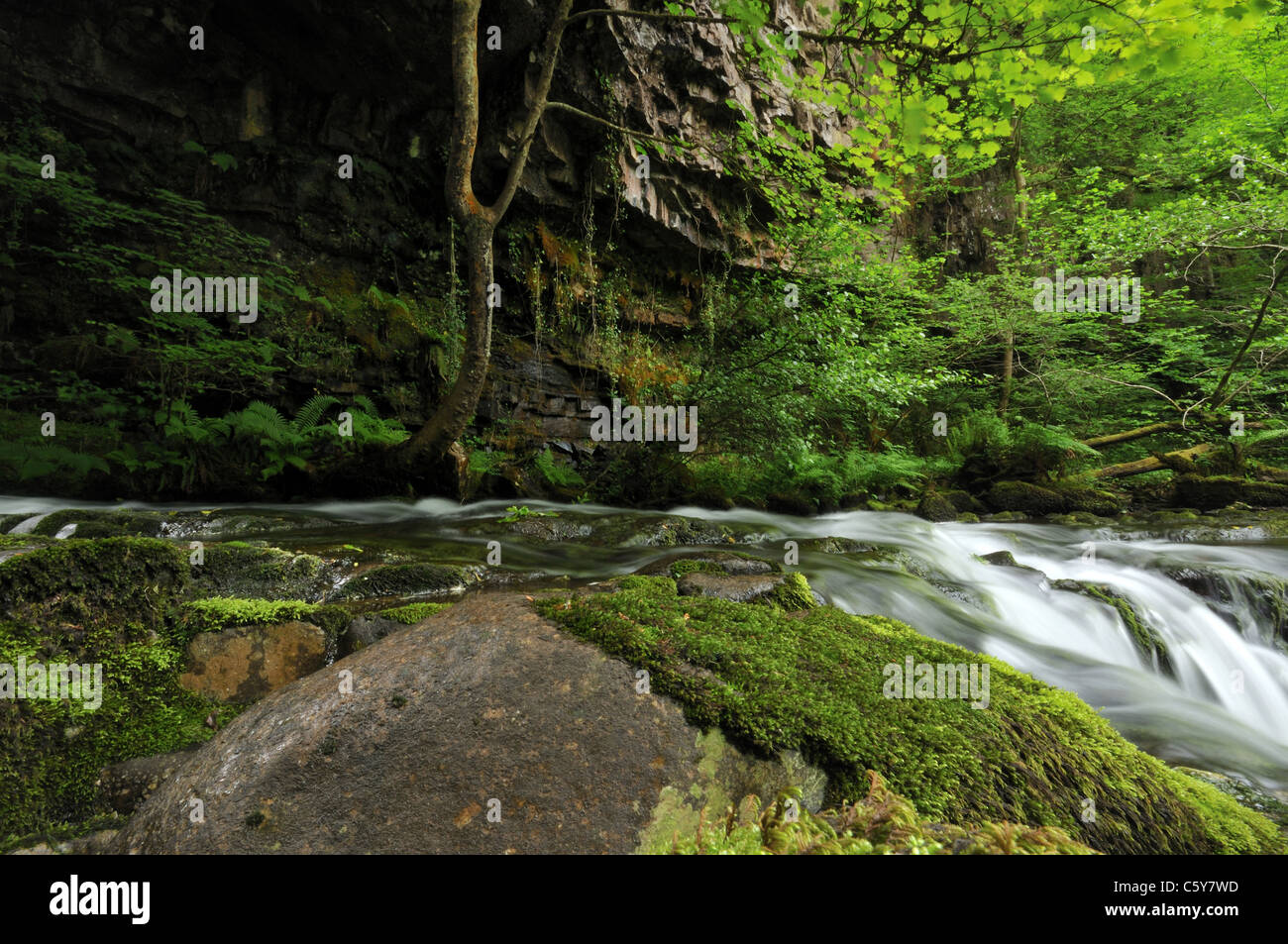 Waterfalls, Brecon Beacons national park, south Wales, UK Stock Photo
