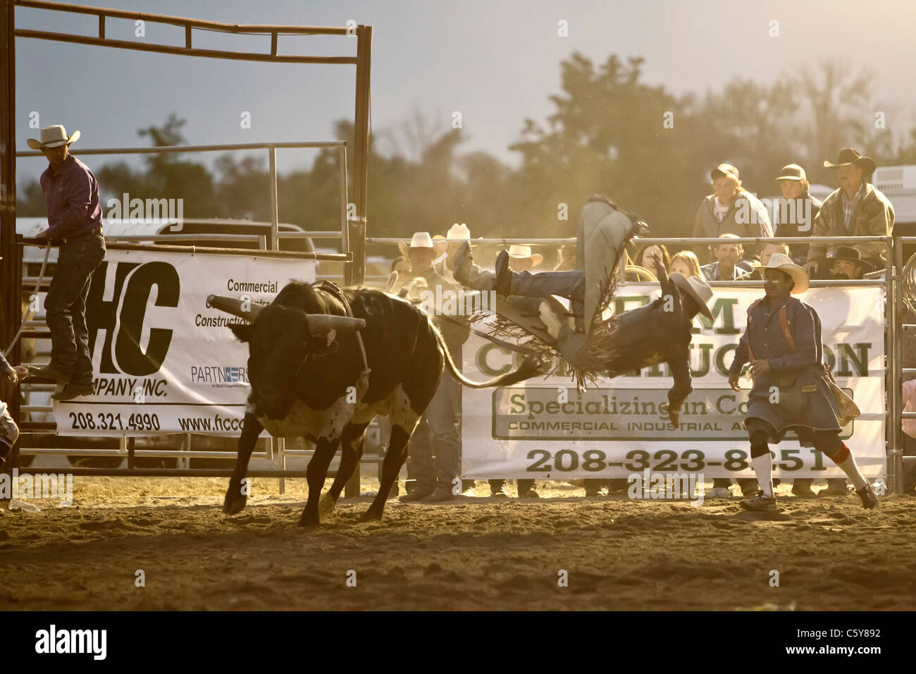 A bull rider gets thrown in the late afternoon at Eagle Rodeo, Eagle