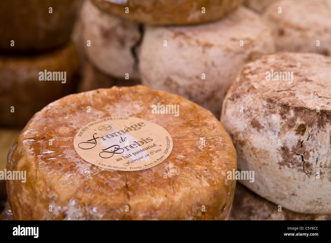 Sheep Cheese from Corsica, Ajaccio Stock Photo Alamy