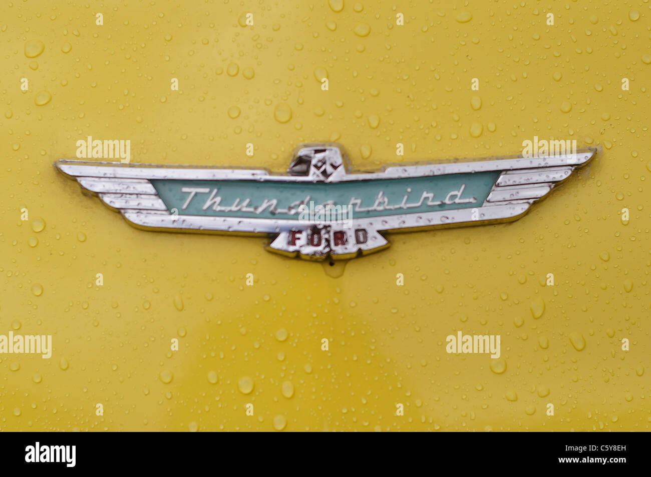 Thunderbird American classic car chrome emblem shot on a yellow bonnet/hood, speckled with water droplets Stock Photo