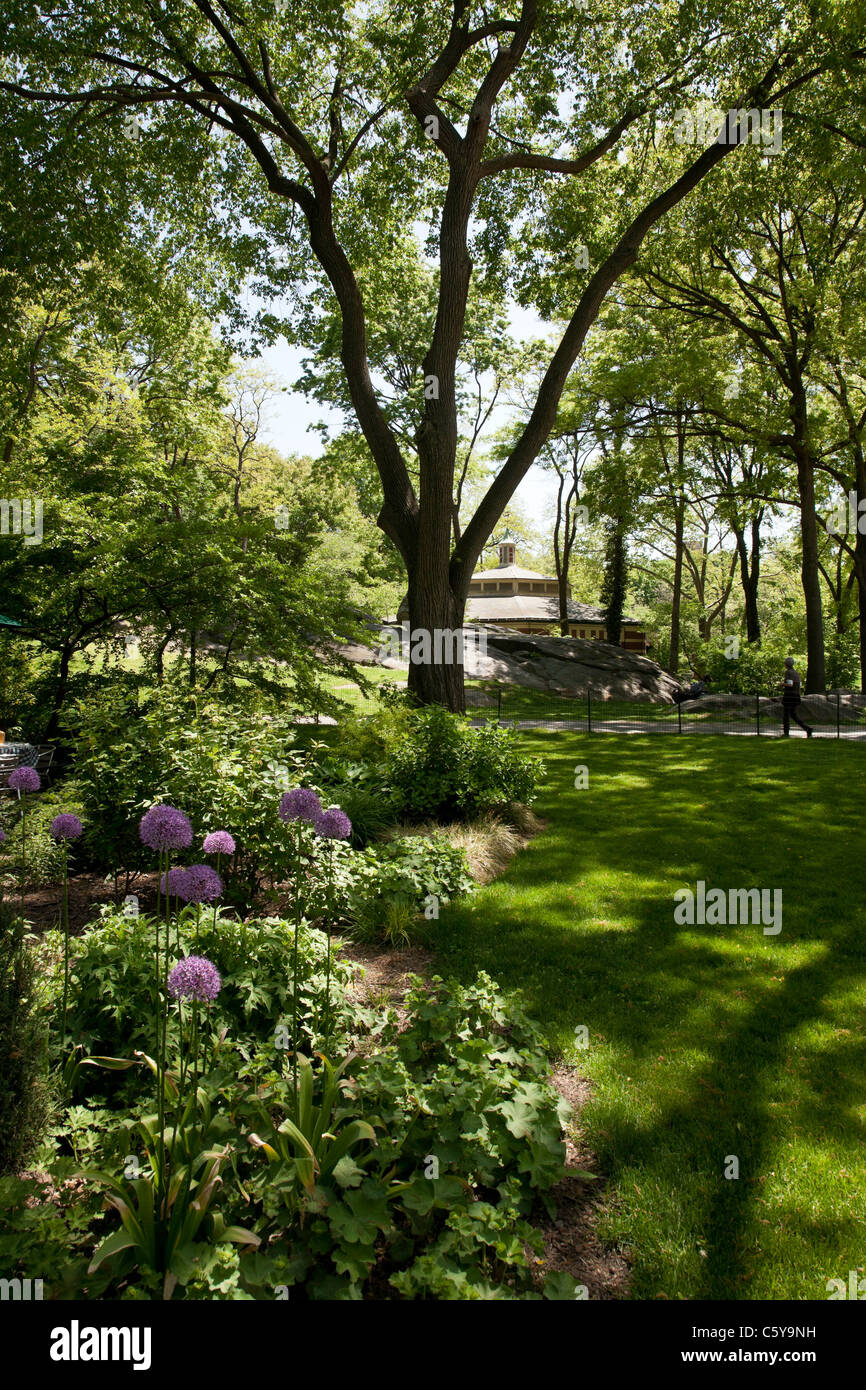 Central Park, Landscaping, Central Park, NYC Stock Photo