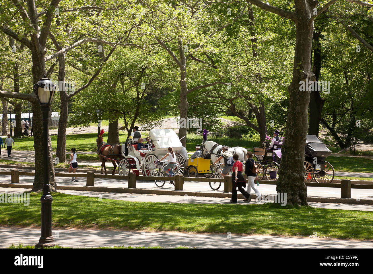 Horse drawn carriage cyclists hi-res stock photography and images - Alamy