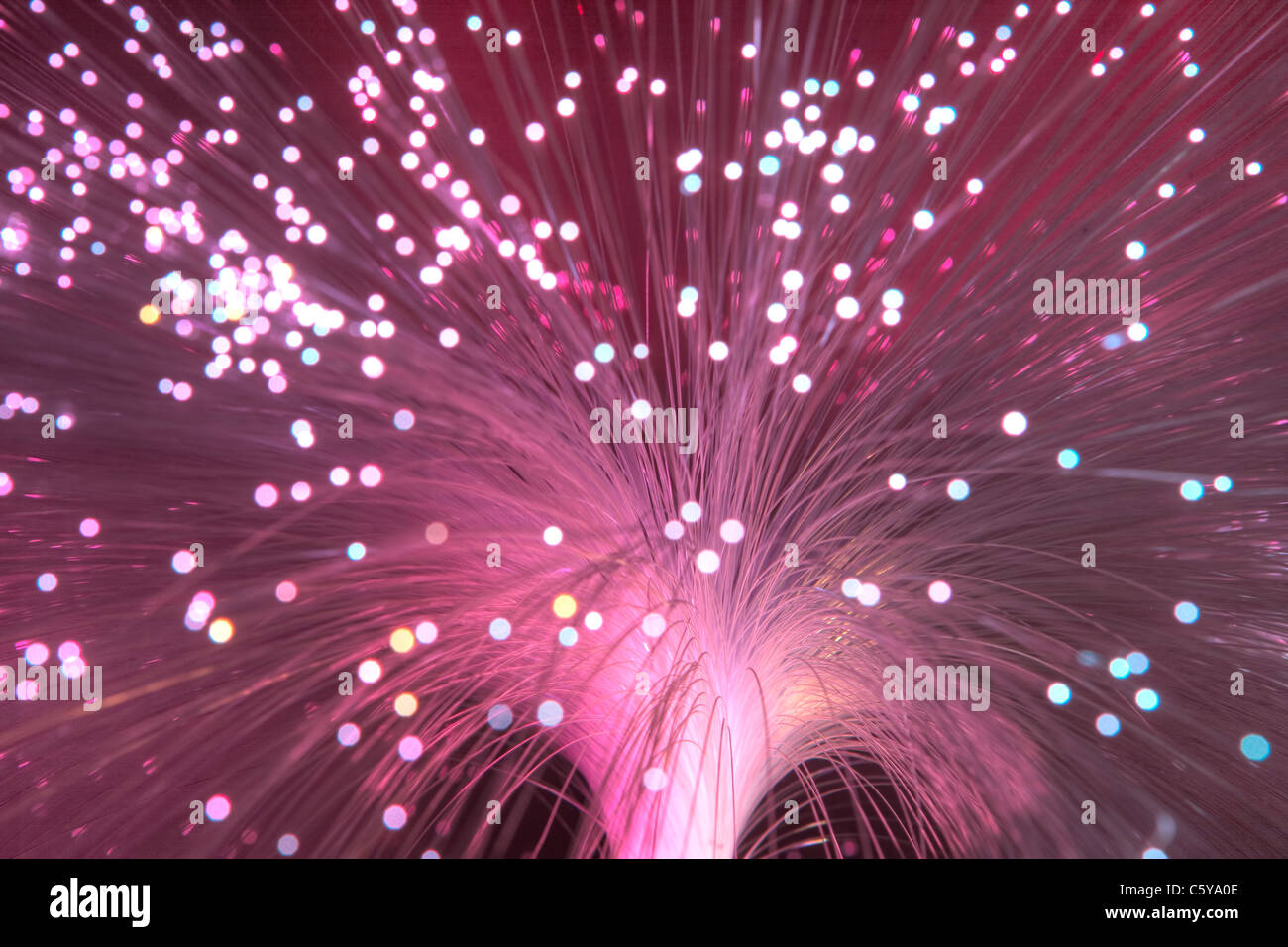 Abstract of multicoloured fibre optic lamp Stock Photo Alamy
