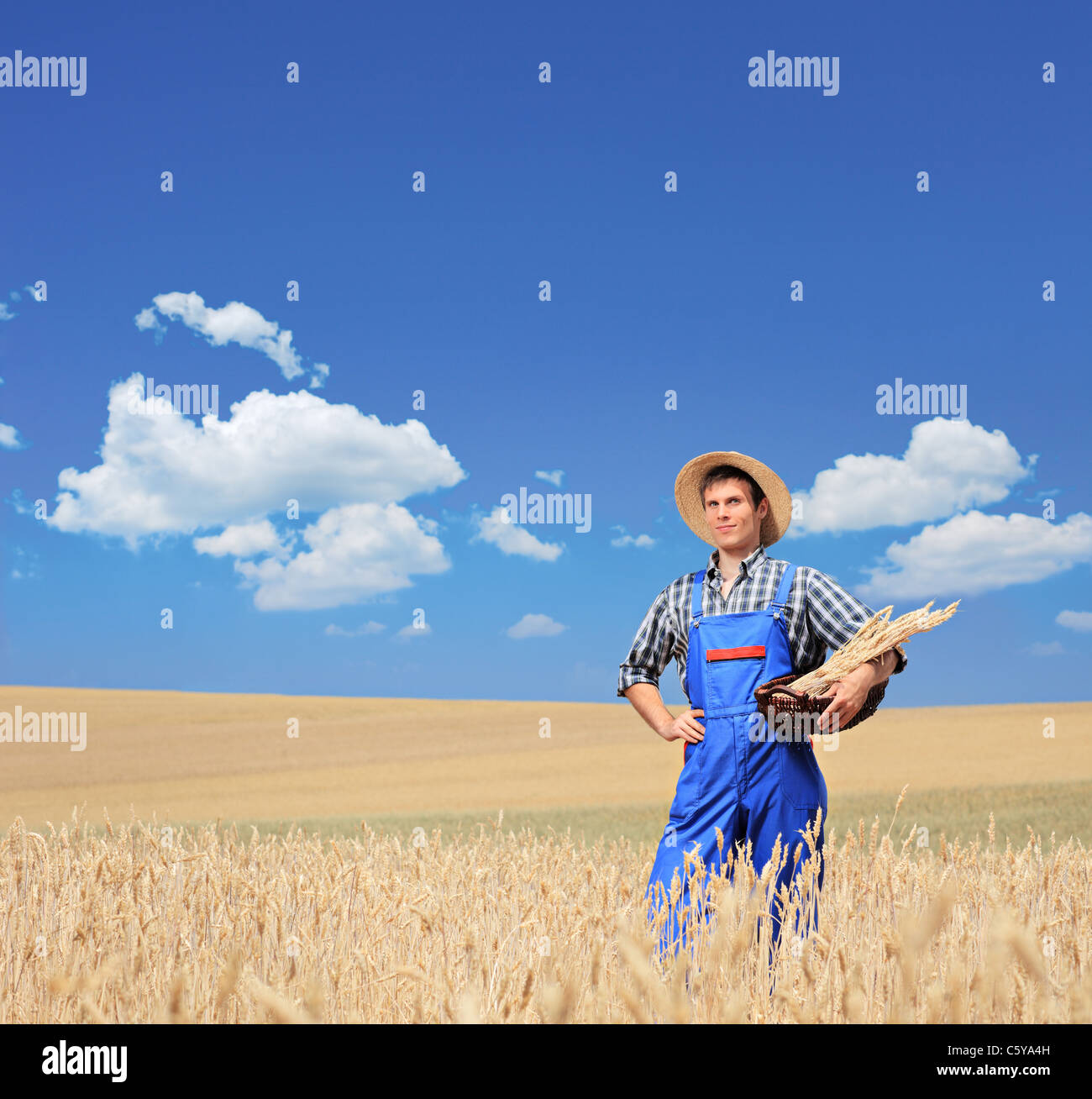 A young smiling farmer with posing in a field Stock Photo - Alamy