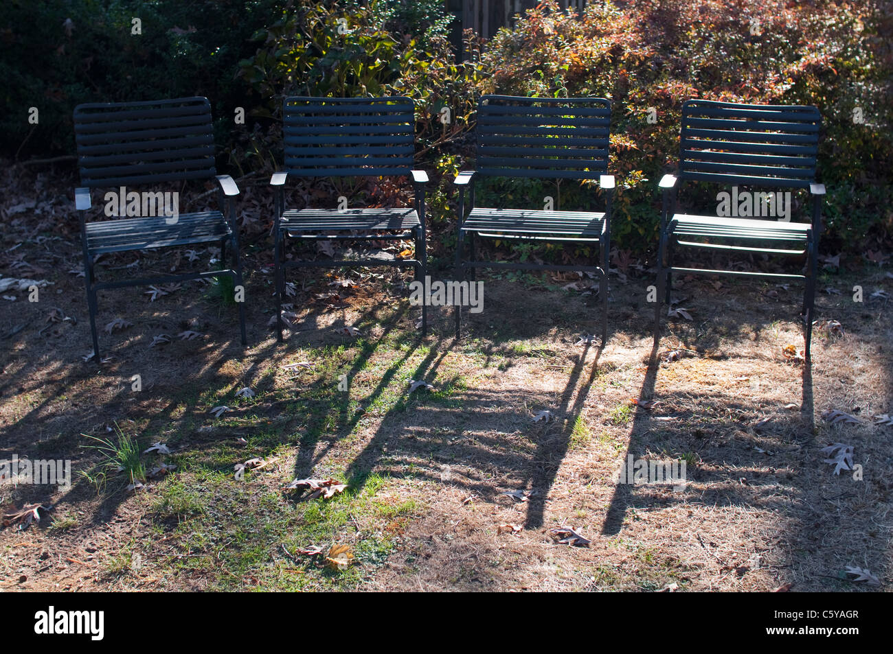 Four garden chairs standing in the Fall afternoon sun in a yard / garden in New Jersey, USA. Stock Photo
