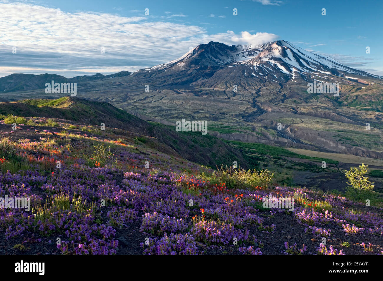 Mt st helens eruption hi-res stock photography and images - Alamy