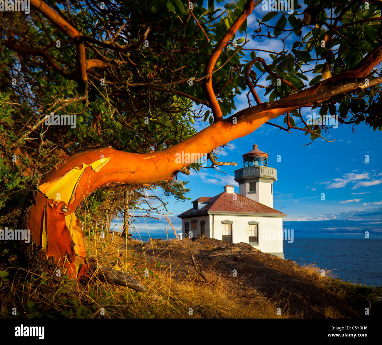 Lime Kiln lighthouse and a Madrona tree on San Juan Island, Washington Stock Photo