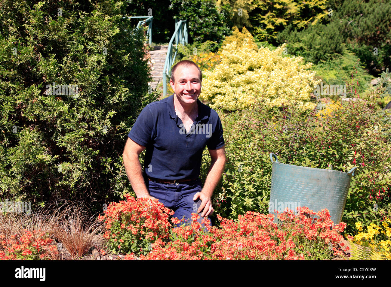 Adult male Gardener employed at Compton Acres Dorset Stock Photo Alamy