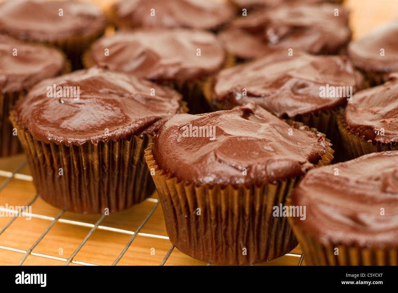 Fresh home-made chocolate cupcakes Stock Photo