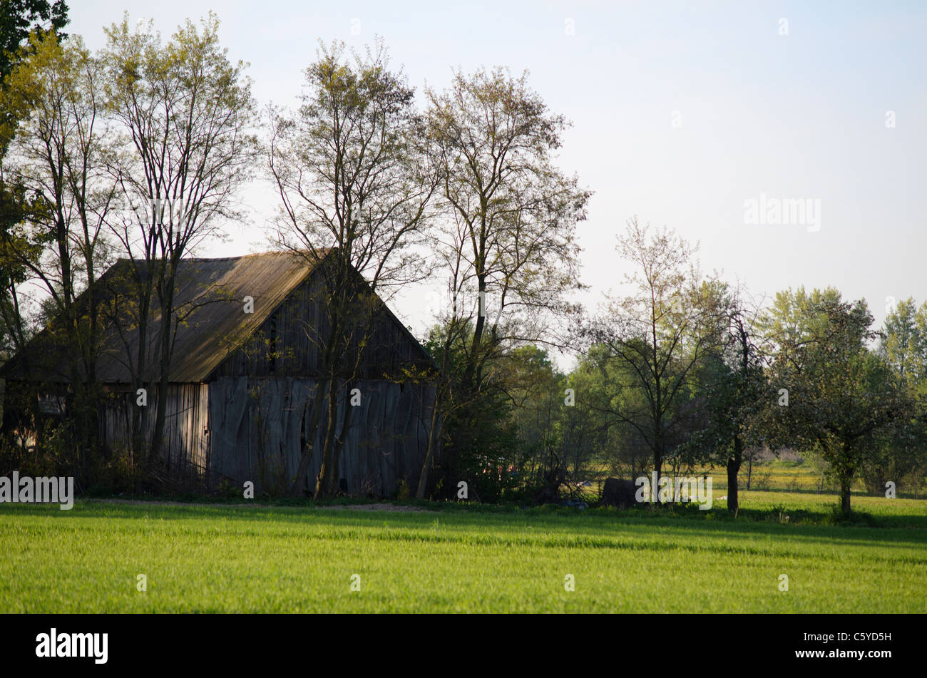 Old wooden shed in field hi-res stock photography and images - Alamy