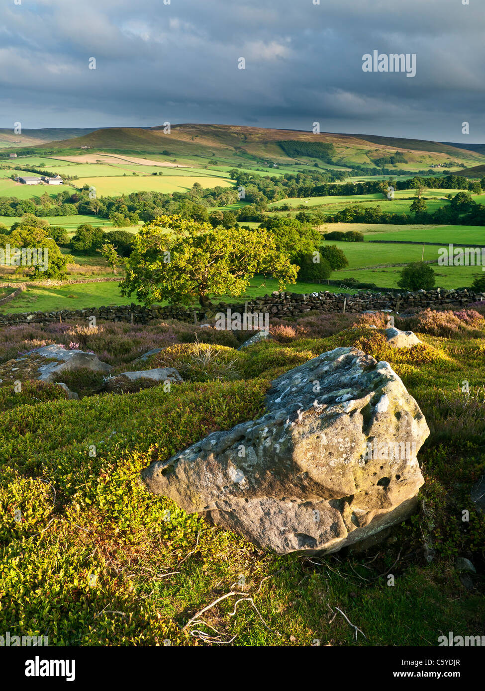 Westerdale, North York Moors National Park in summer evening sun Stock