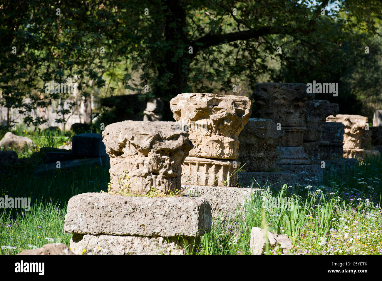 Ancient Olympia,home to Greece's Games 776 BC,Archaeological site & Museum,Gymnasium,Palaestra,Wrestling School,Katakolon,Greece Stock Photo