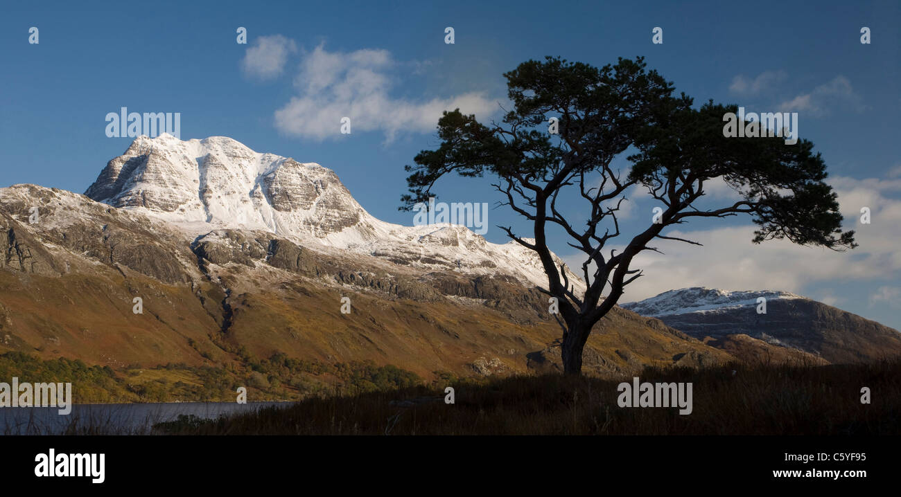 Slioch and Scots Pine (Pinus sylvestris). Wester Ross, Scotland, Great Britain. Stock Photo