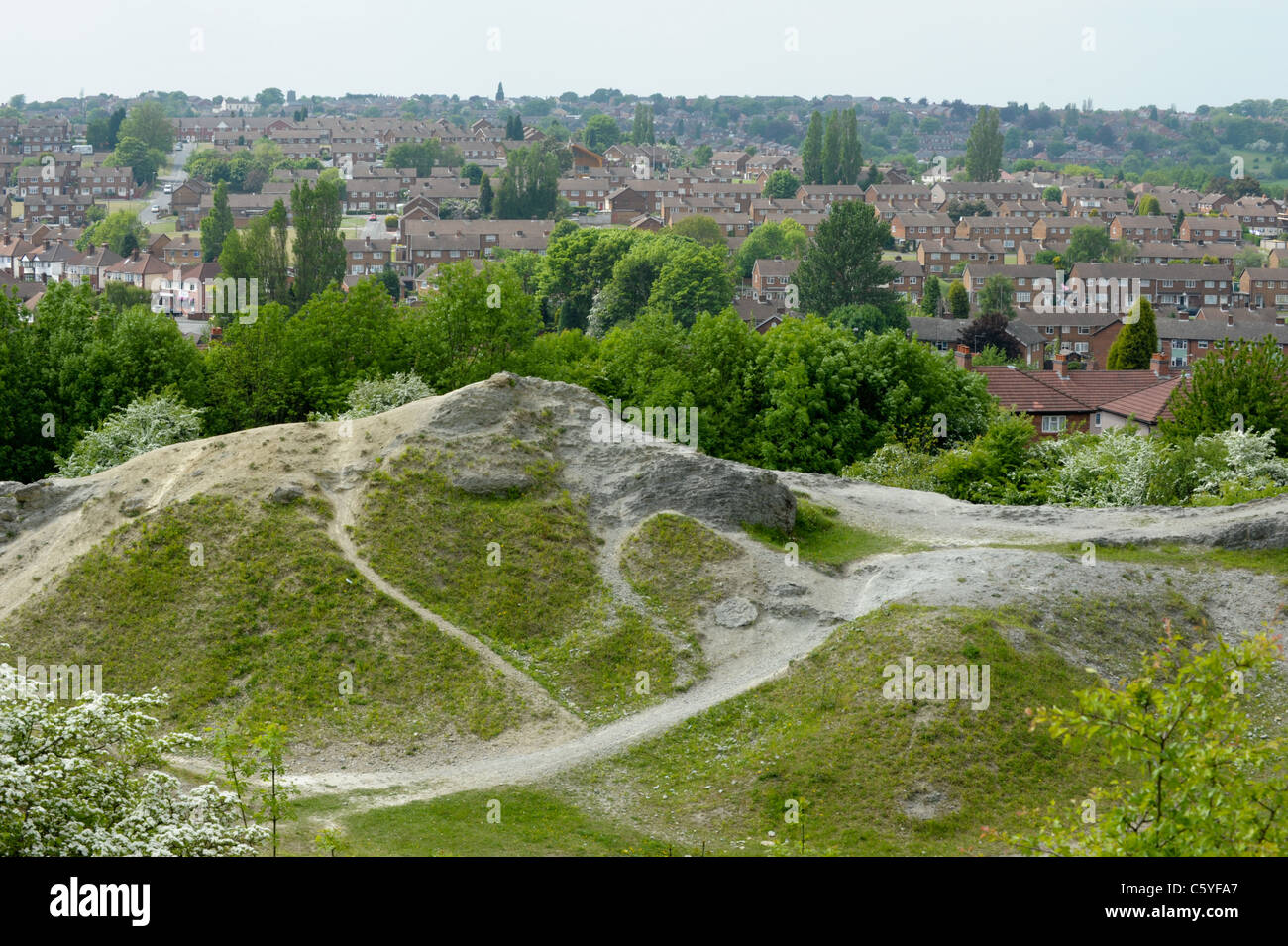 View of Wren's Nest Nature Reserve and the Wren's Nest council housing
