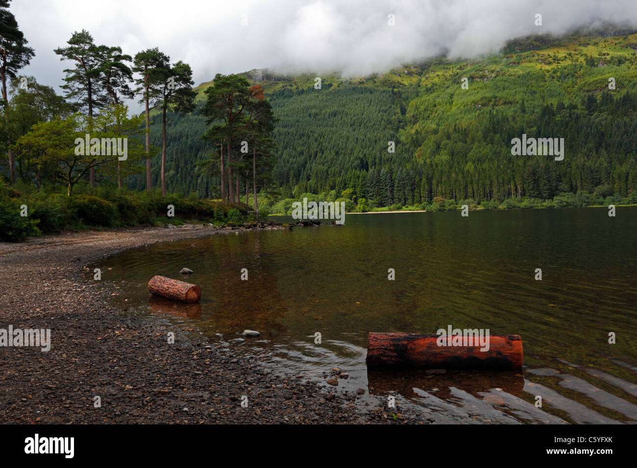 Loch Eck in the Argyll Forest Park in Scotland, UK. Stock Photo