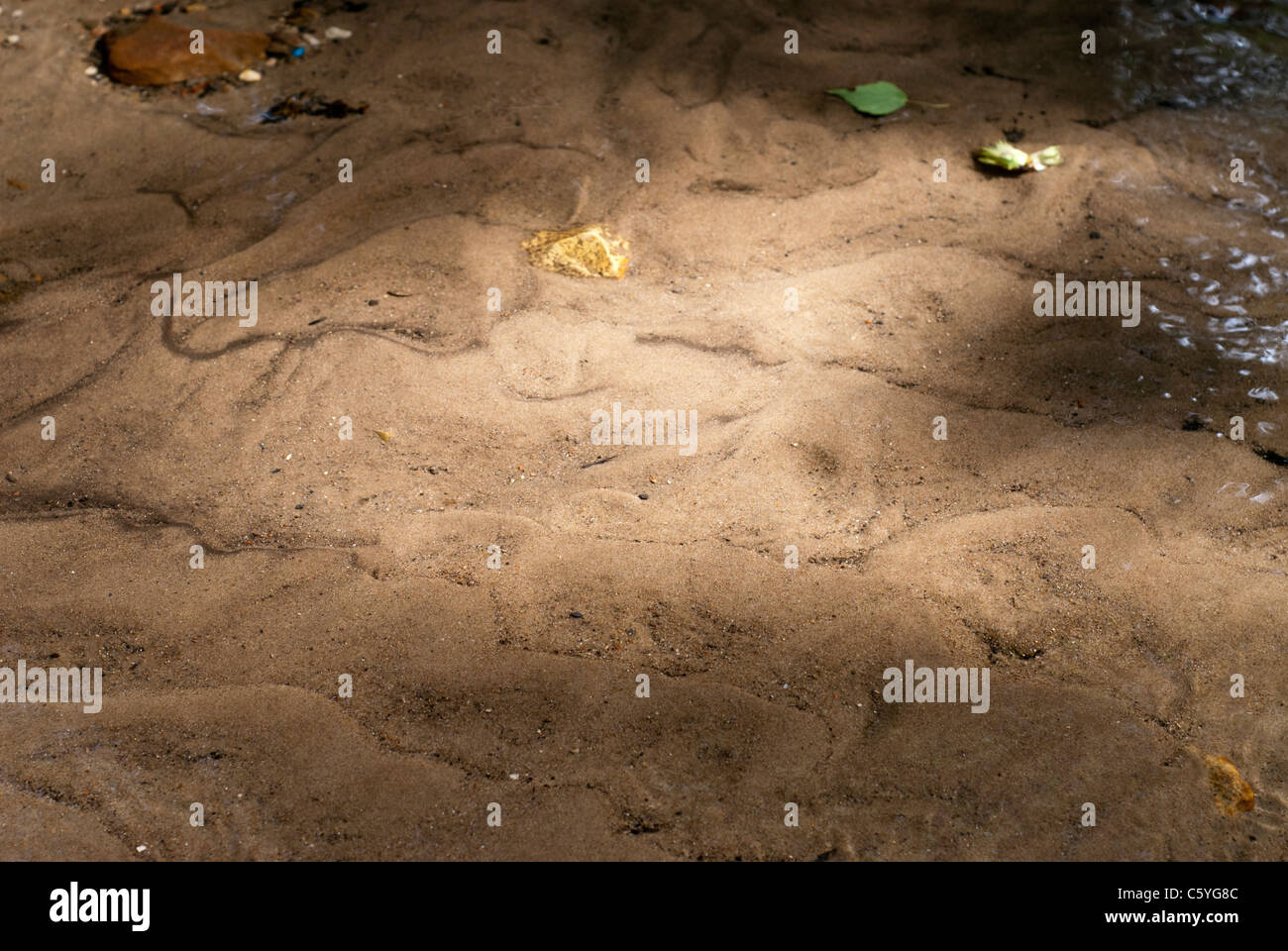 Sand bed of the forest stream Stock Photo Alamy