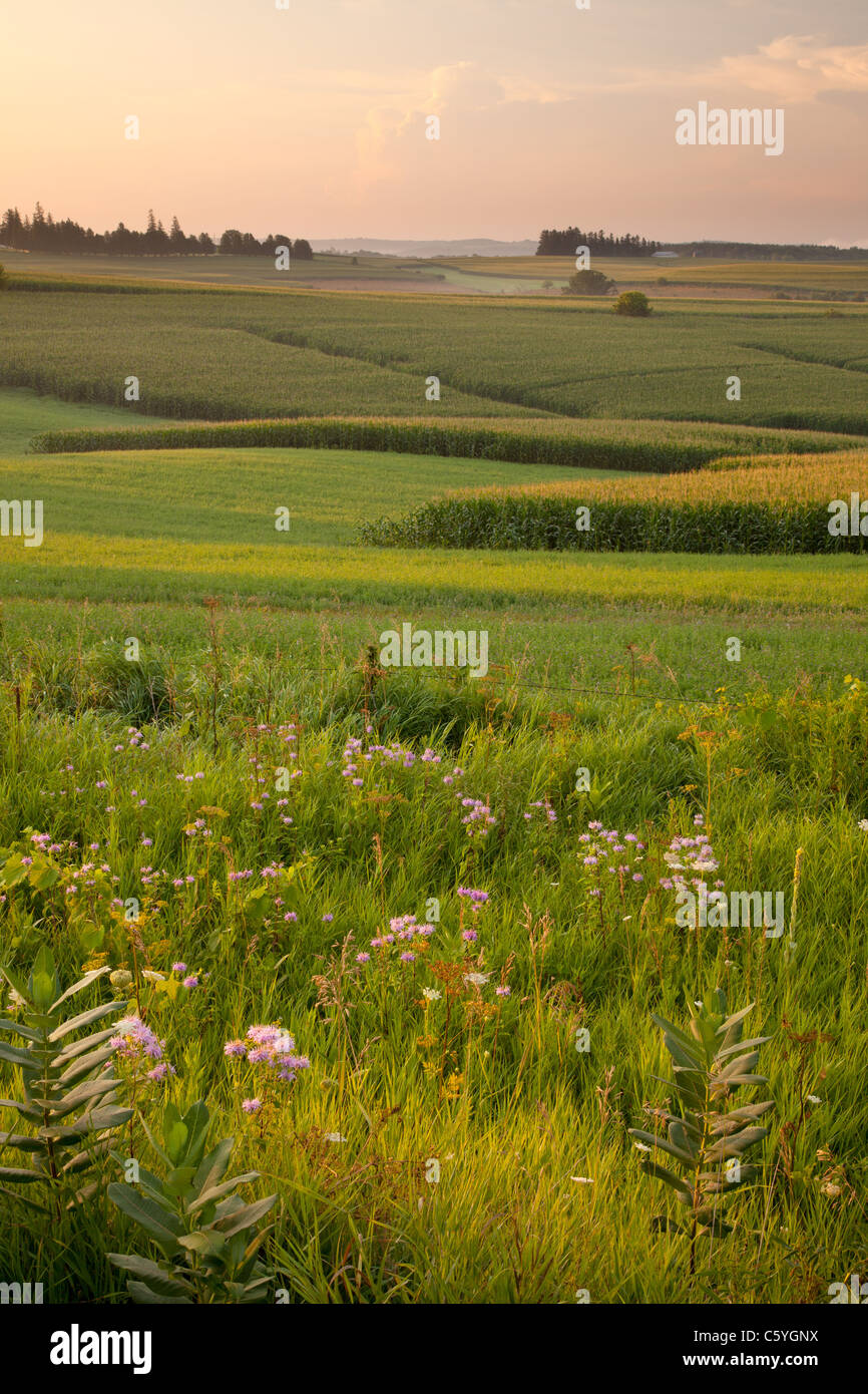 rural scenes along the Driftless Area Scenic Byway, Allamakee County, Iowa Stock Photo