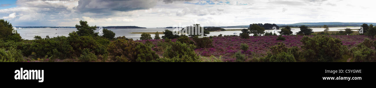 Arne dorset hi-res stock photography and images - Alamy