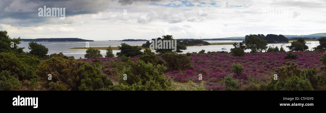 Furzey island dorset hi-res stock photography and images - Alamy