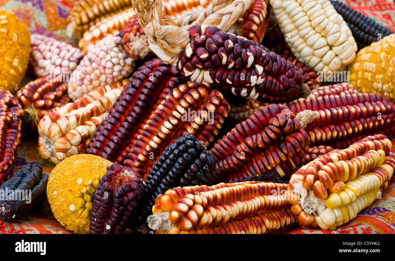 Different types of corn on a market in Peru Stock Photo Alamy