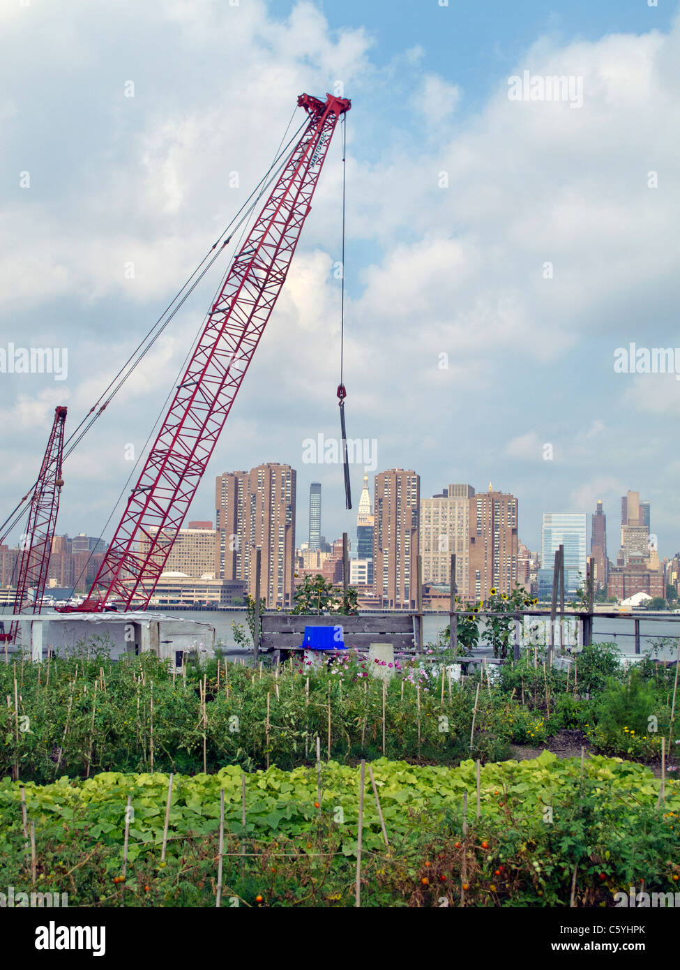New york city rooftop farm hi-res stock photography and images - Alamy