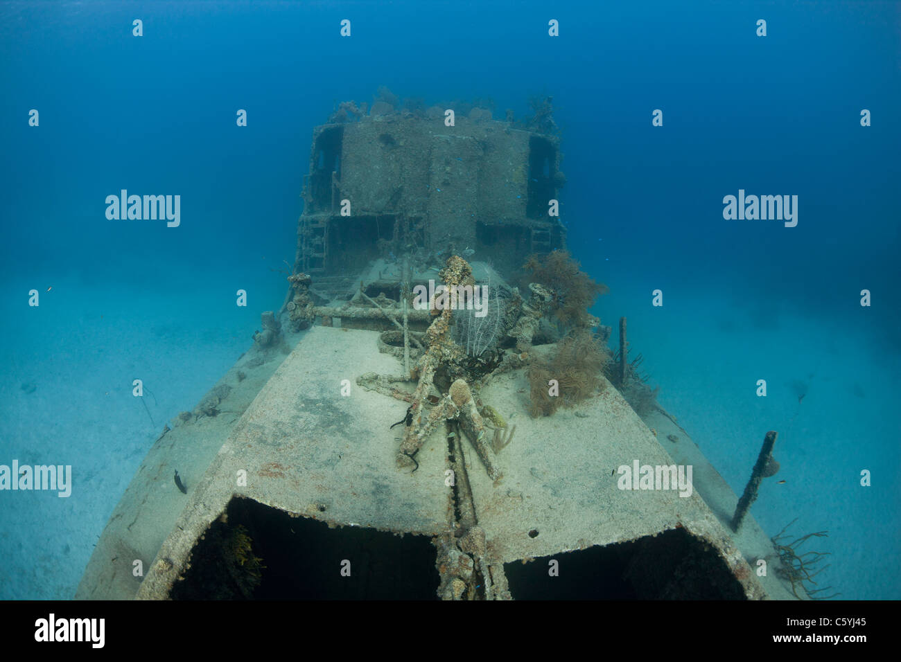 The Prince Albert wreck off the island of Roatan, Honduras. Stock Photo