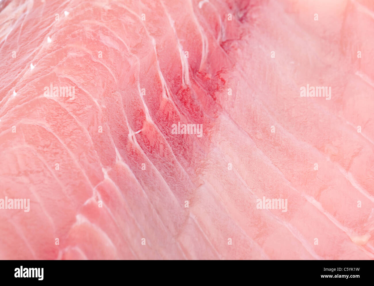 Silver carp fillet meat closeup detail view Stock Photo Alamy