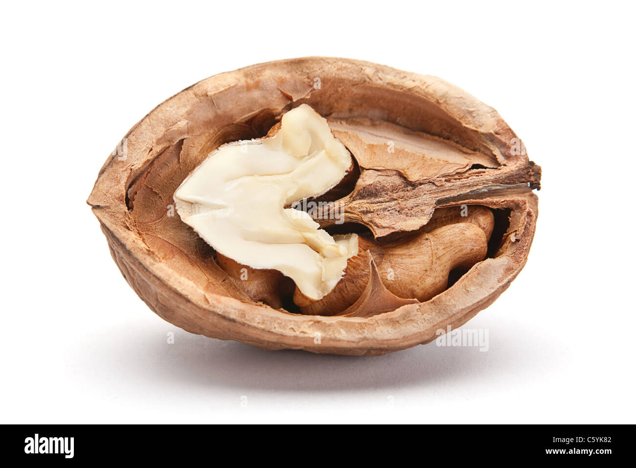 Walnut brown nut closeup isolated on white Stock Photo