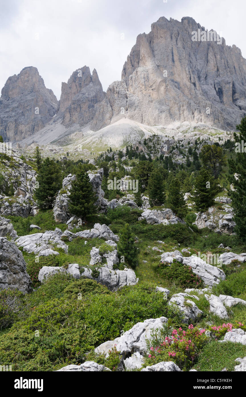 Sassolungo, a massif of peaks in the Dolomites near Sella Pass Stock Photo