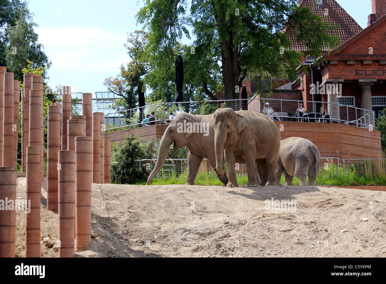 Copenhagen zoo elephant house hires stock photography and images Alamy