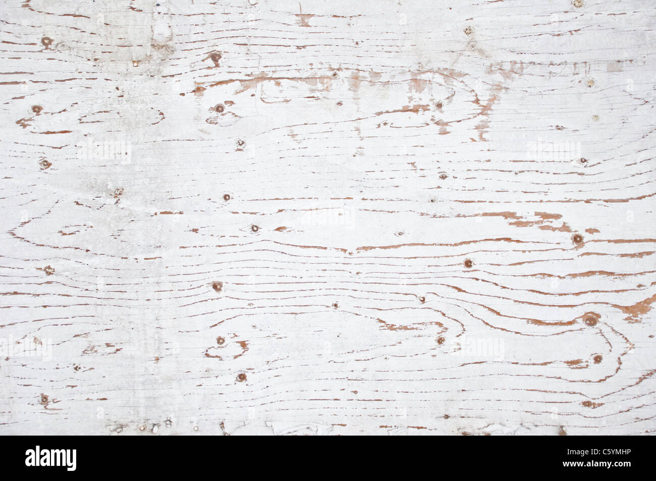 Белое крашеное дерево. Состаренное дерево белое. Текстура дерева. Краска с фактурой дерева белая. Белое крашеное дерево текстура