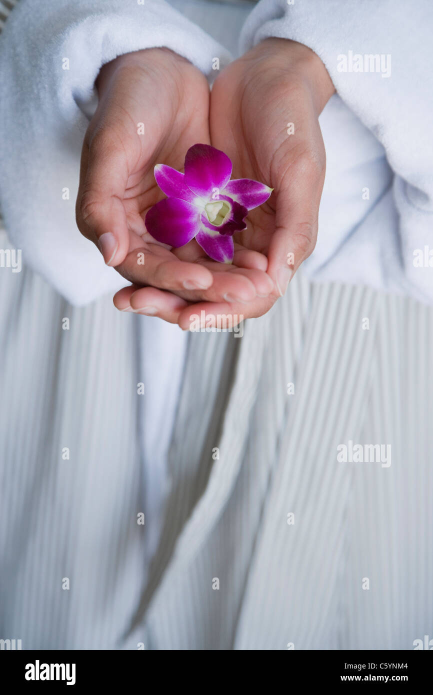 USA, California, Oakland, young woman's hands holding purple orchid Stock Photo