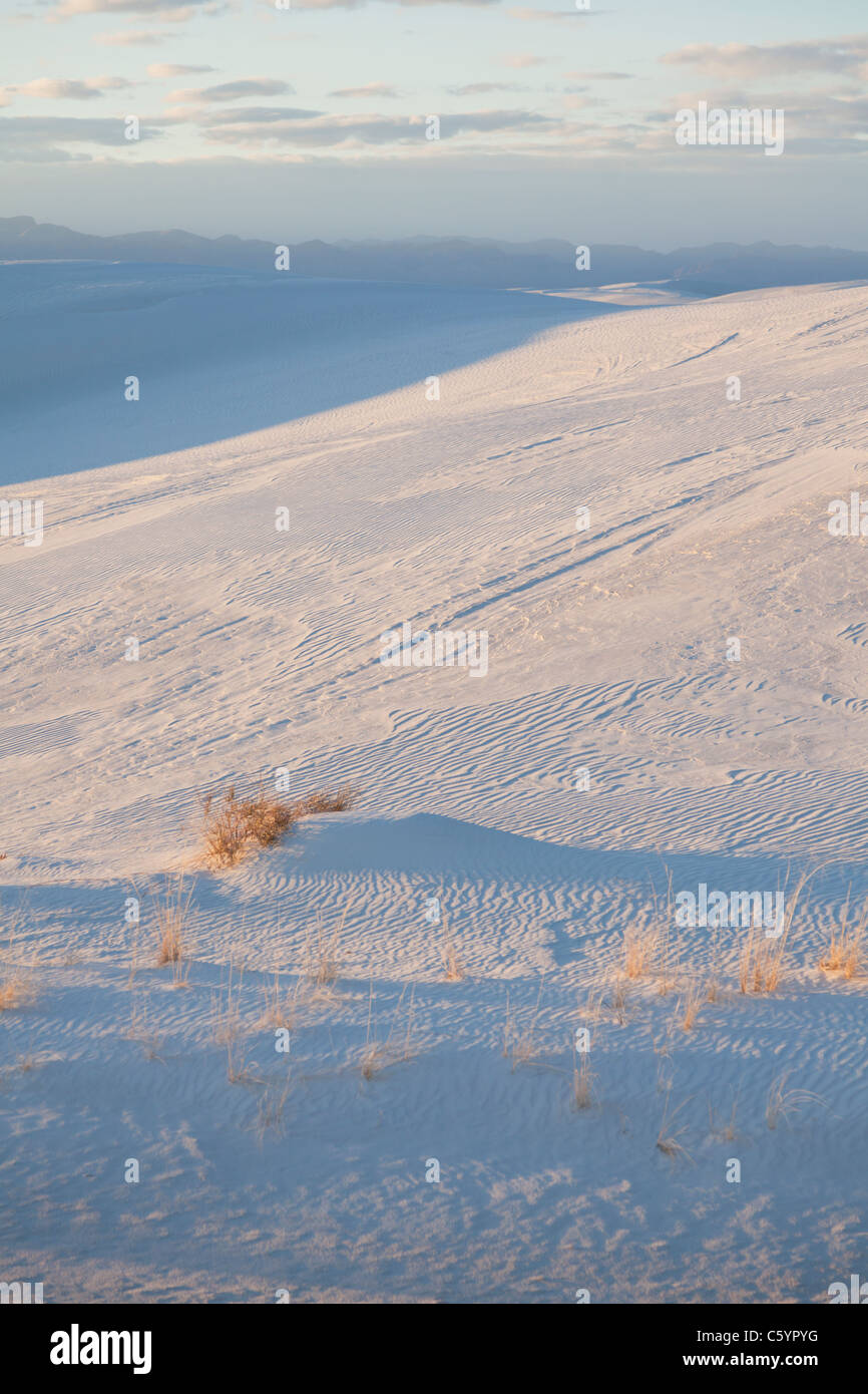 USA, New Mexico, Whitesands, Desert landscape Stock Photo
