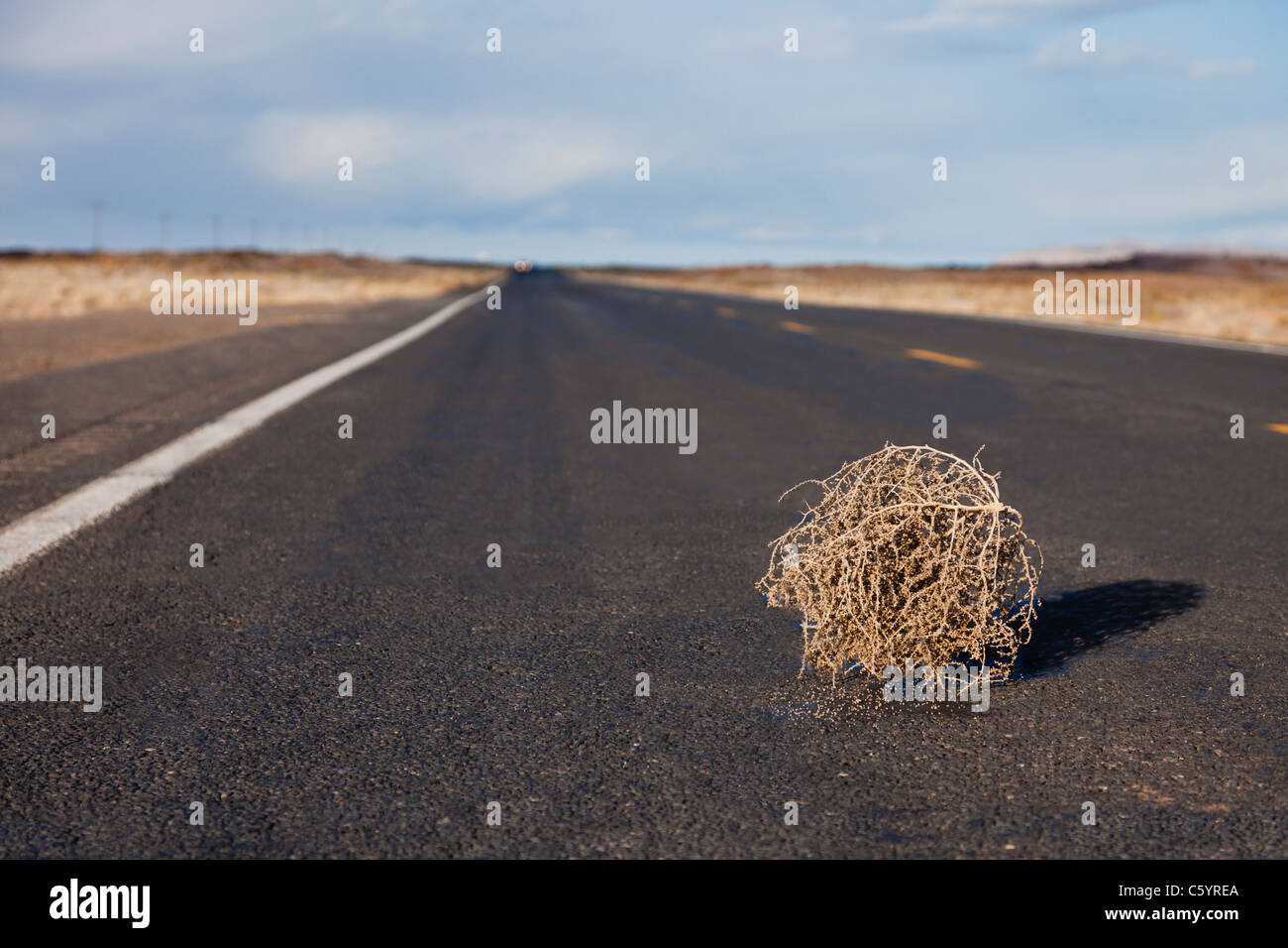 Tumbleweed road hires stock photography and images Alamy