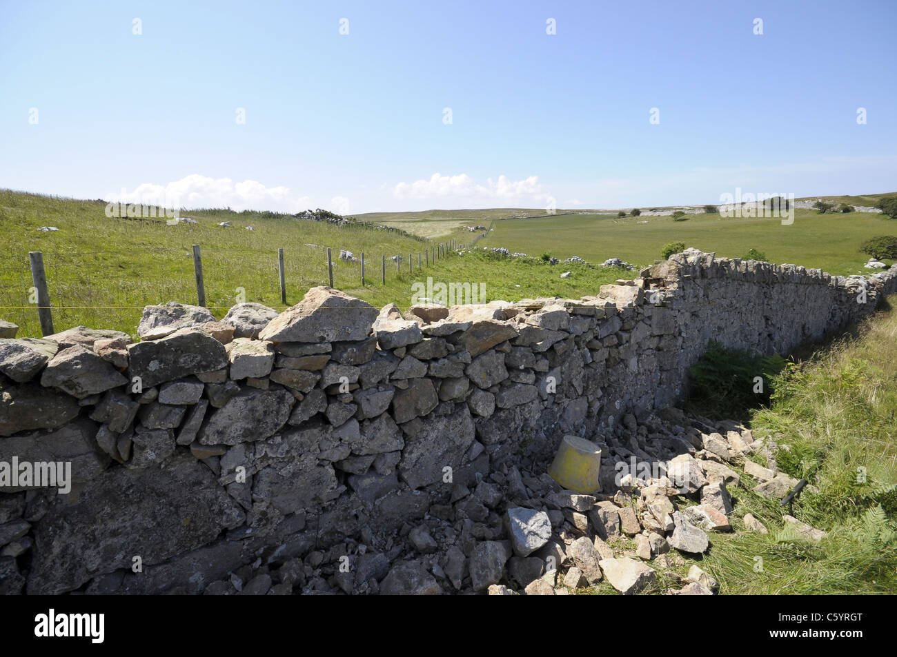 Dry stone wall repair work on the Great Orme Llandudno North Wales UK