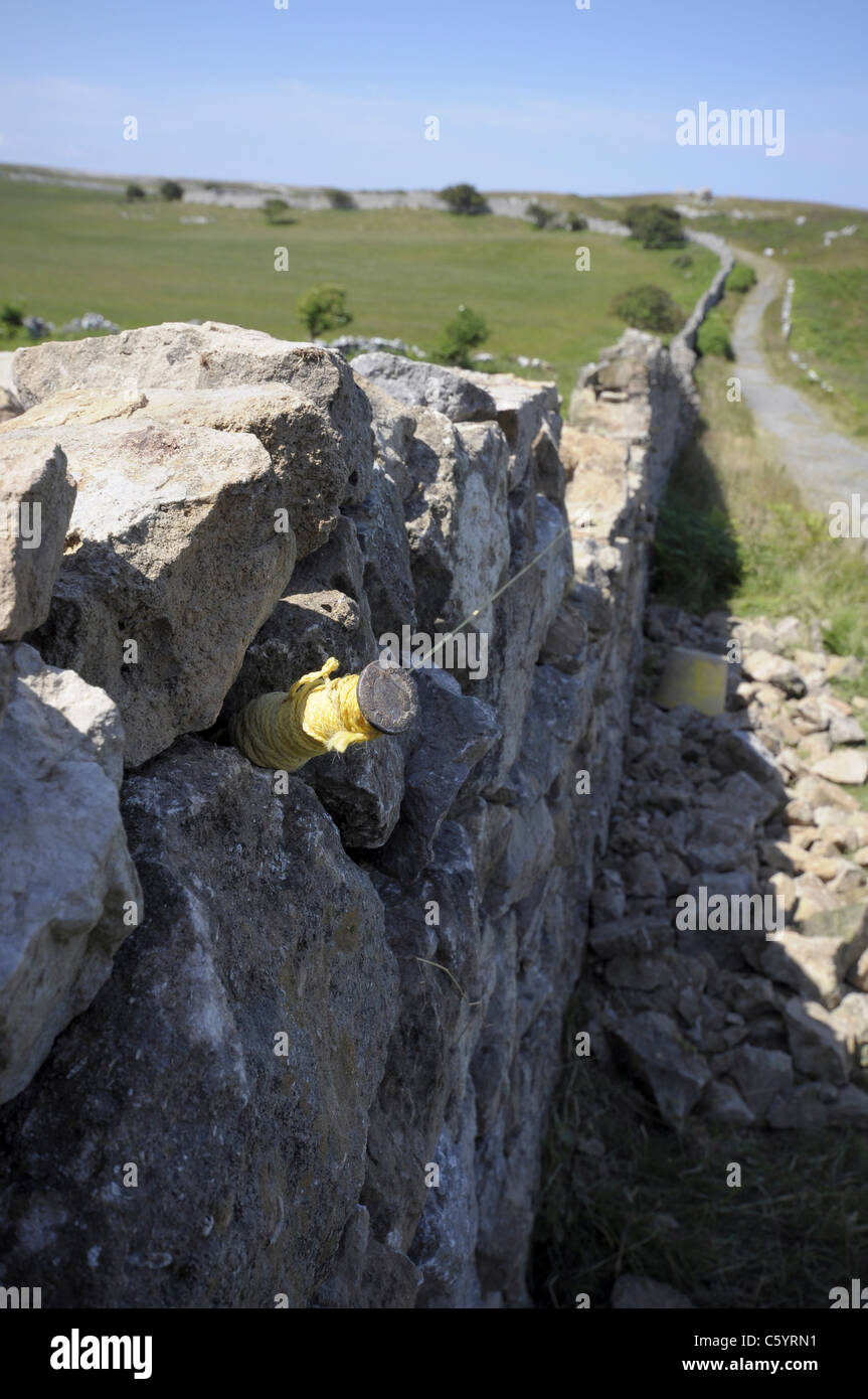Dry stone wall repair work on the Great Orme Llandudno North Wales UK
