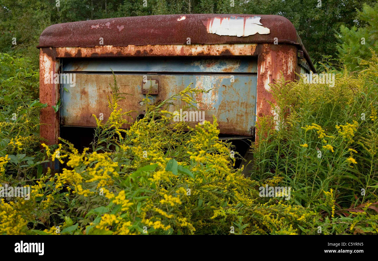 A n abandoned truck rusts in a field in Phoenix, New York Stock Photo