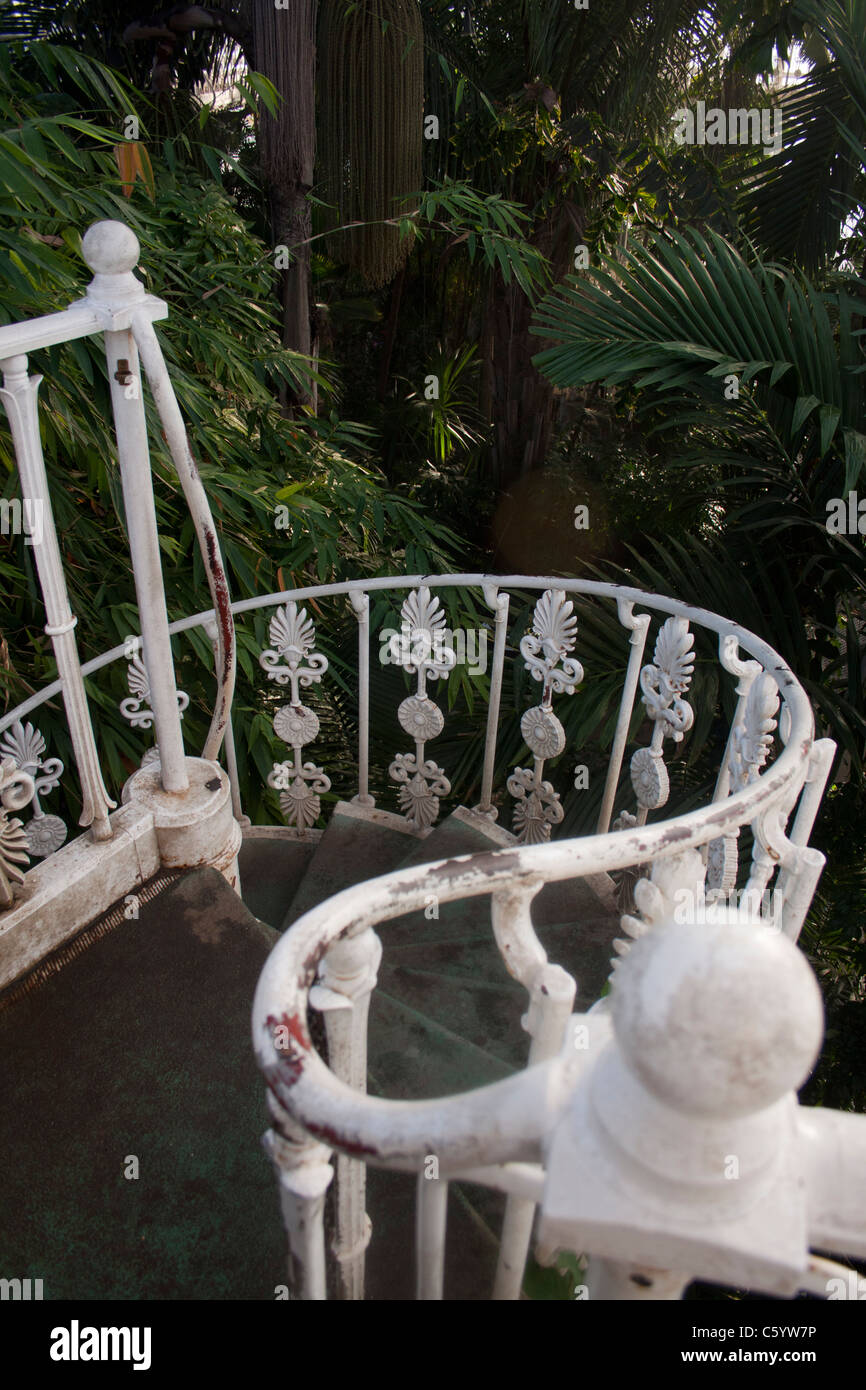 Inside one of the Victorian Greenhouses at Kew Gardens, London Stock