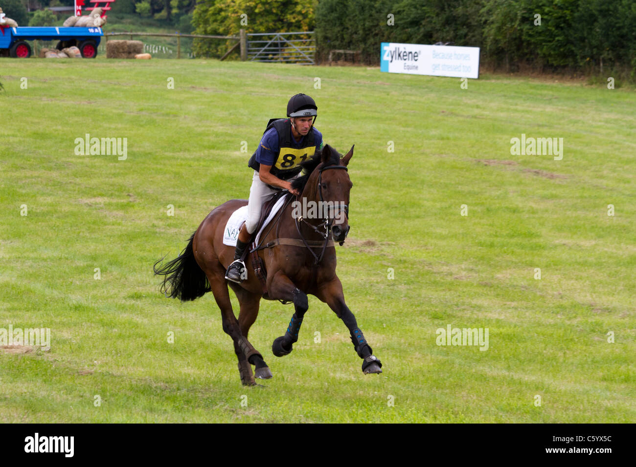 Horse riding rider galloping gallop hires stock photography and images