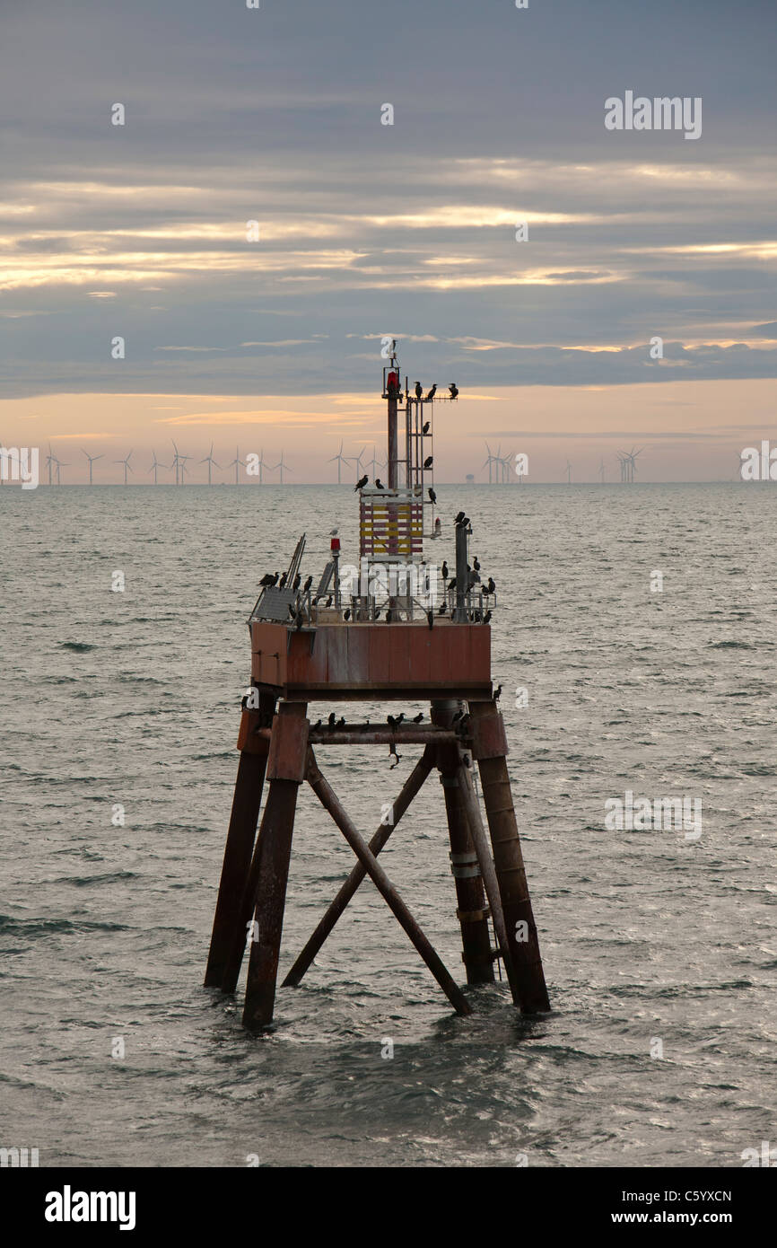 Cormorants on a channel marker looking towards the Walney offshore wind farm. Stock Photo