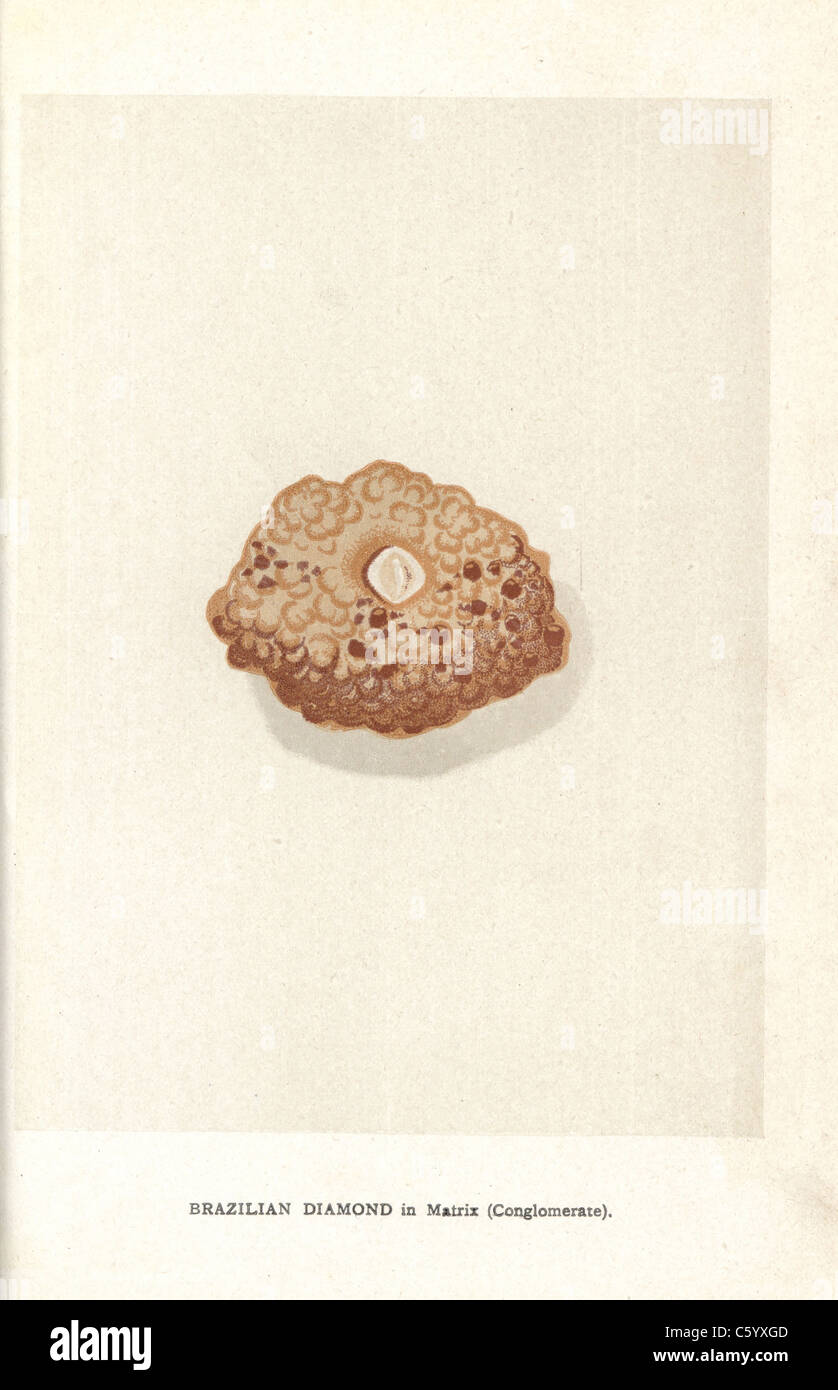 Brazilian diamond in matrix (conglomerate Stock Photo Alamy