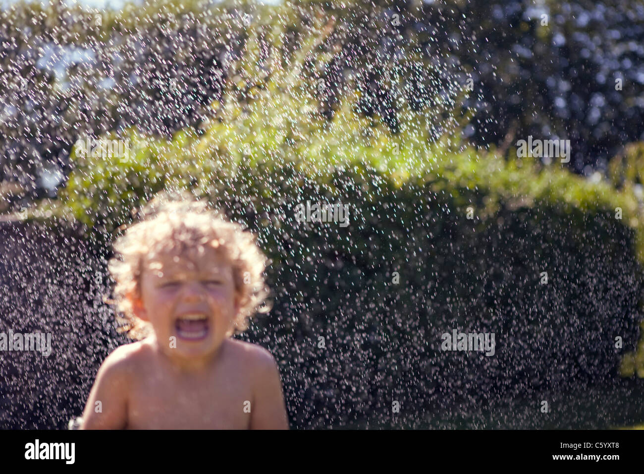 Child plays with water in garden summer laughing spray Stock Photo