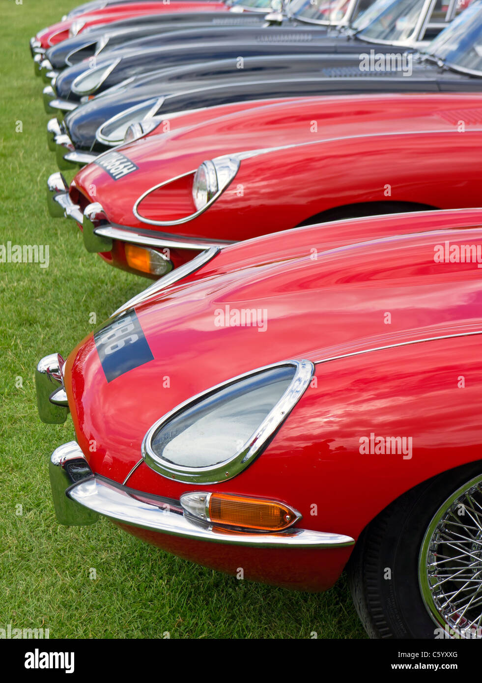 E-Type Jaguars Cars on display at a 50th nniversary rally. Stock Photo