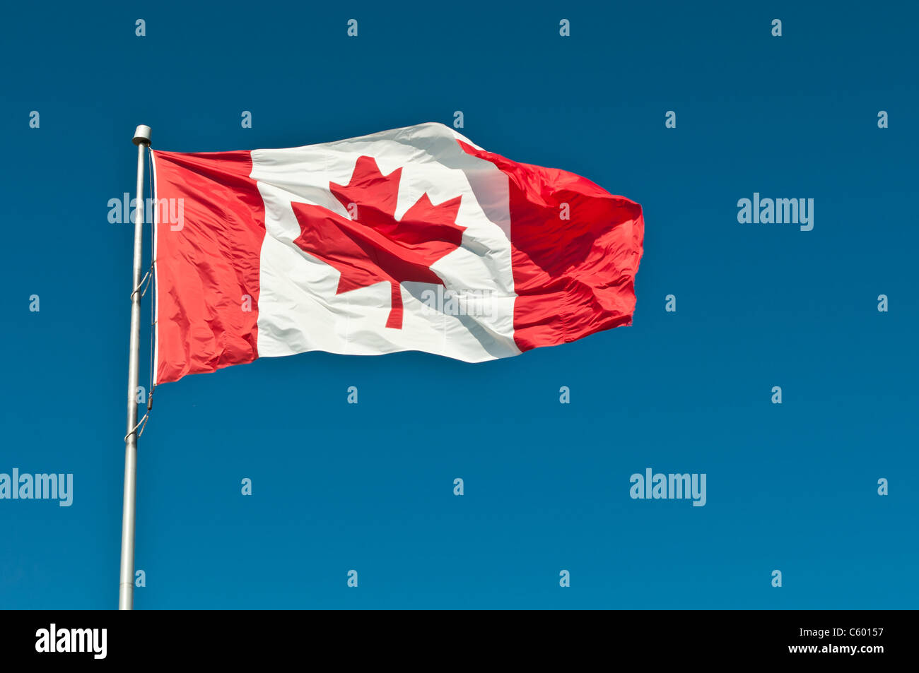 A Canadian flag waves in a strong breeze in front of a clear blue sky Stock Photo