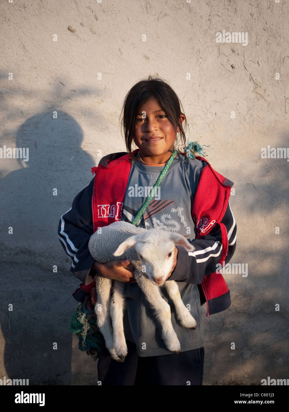A young boy carrying a baby lamb Stock Photo - Alamy